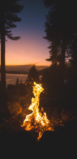 [2436x1125]火焰 燃烧 夜晚 木材 苹果手机壁纸图片