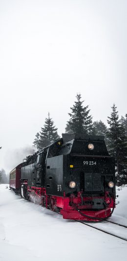 [2436x1125]火车 列车 雪季 雪地 苹果手机壁纸图片