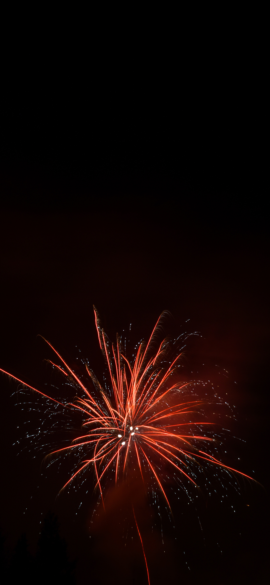 [2436×1125]烟花 夜晚 绽放 盛开 苹果手机壁纸图片