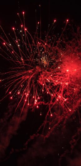 [2436x1125]烟花 夜晚 高空 燃 苹果手机壁纸图片