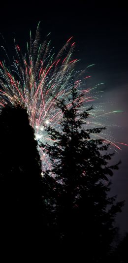 [2436x1125]烟花 树木 遮挡 夜晚 绽放 苹果手机壁纸图片