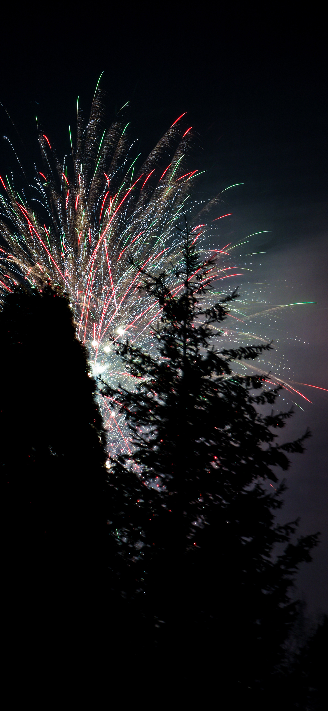 [2436×1125]烟花 树木 遮挡 夜晚 绽放 苹果手机壁纸图片