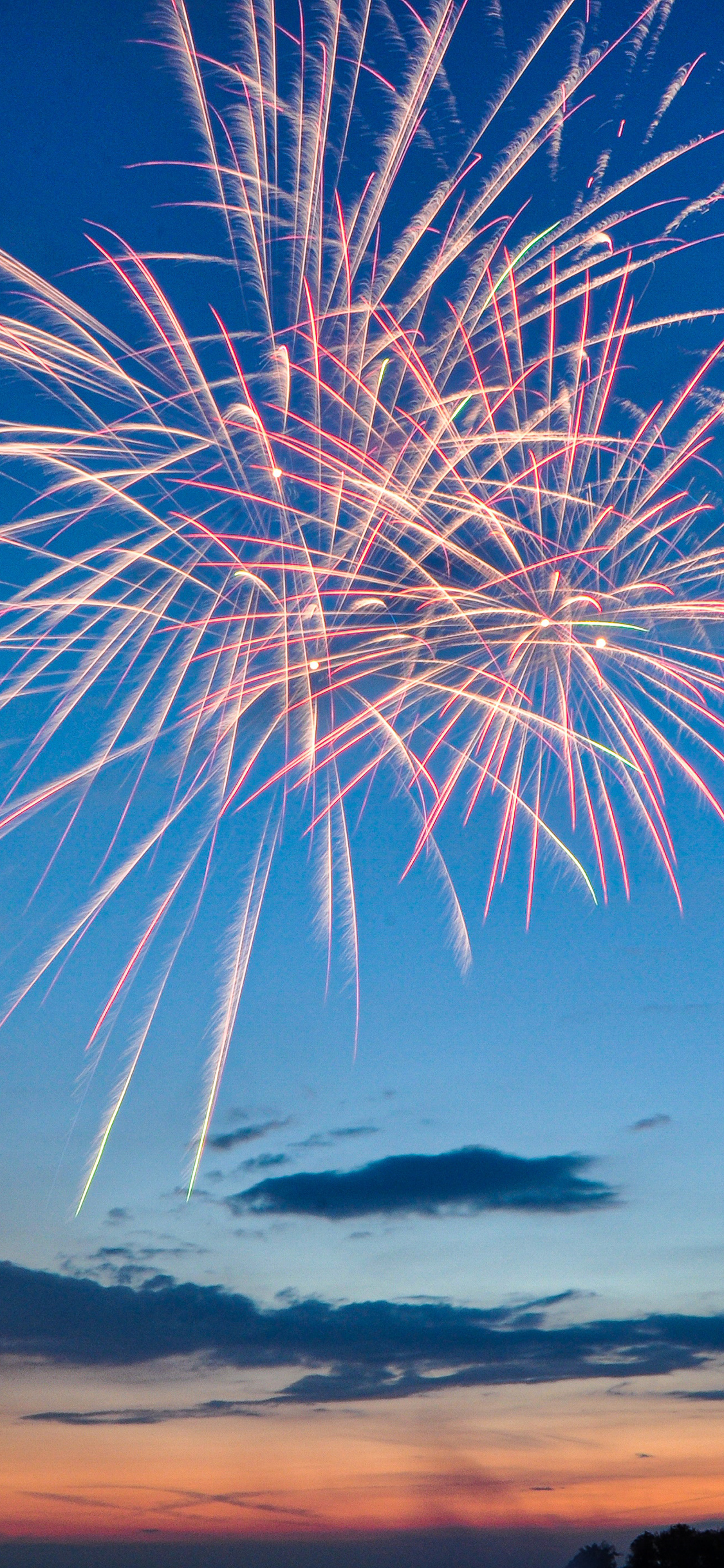 [2436×1125]烟花 璀璨 夕阳 绽放 苹果手机壁纸图片