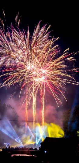 [2436x1125]烟花 璀璨 绽放 夜晚 苹果手机壁纸图片