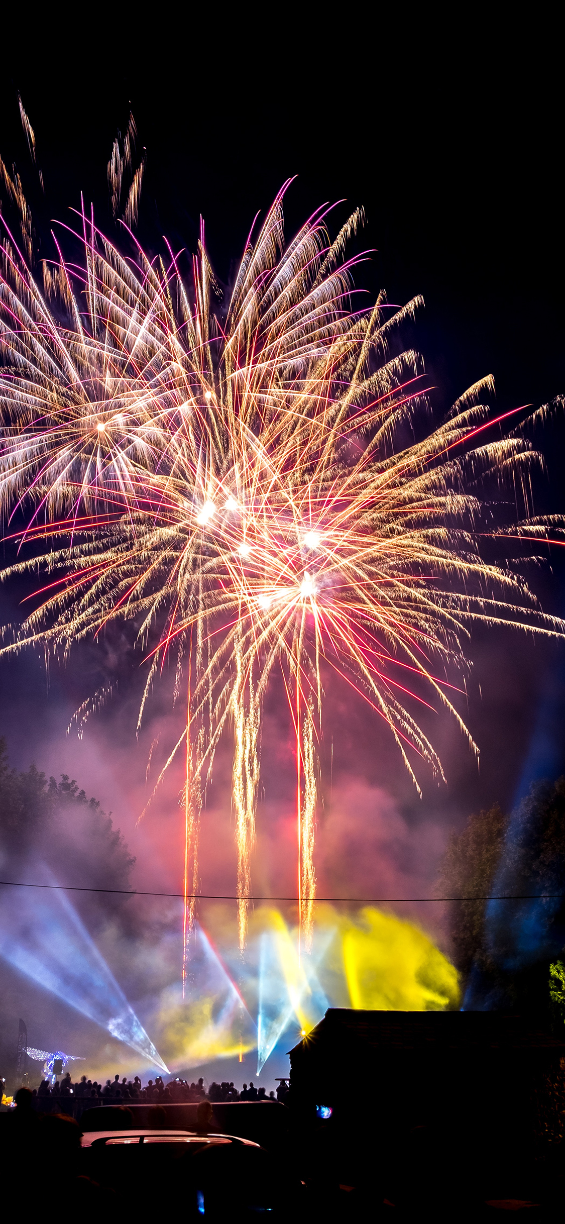 [2436×1125]烟花 璀璨 绽放 夜晚 苹果手机壁纸图片