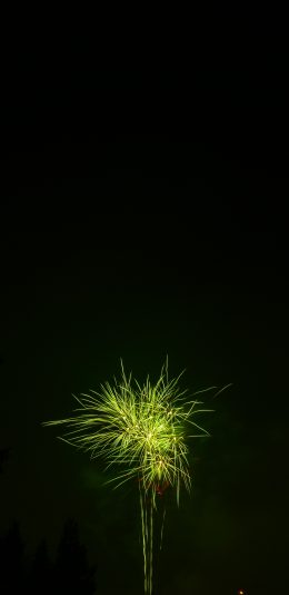 [2436x1125]烟花 盛开 绽放 夜晚 天空 苹果手机壁纸图片