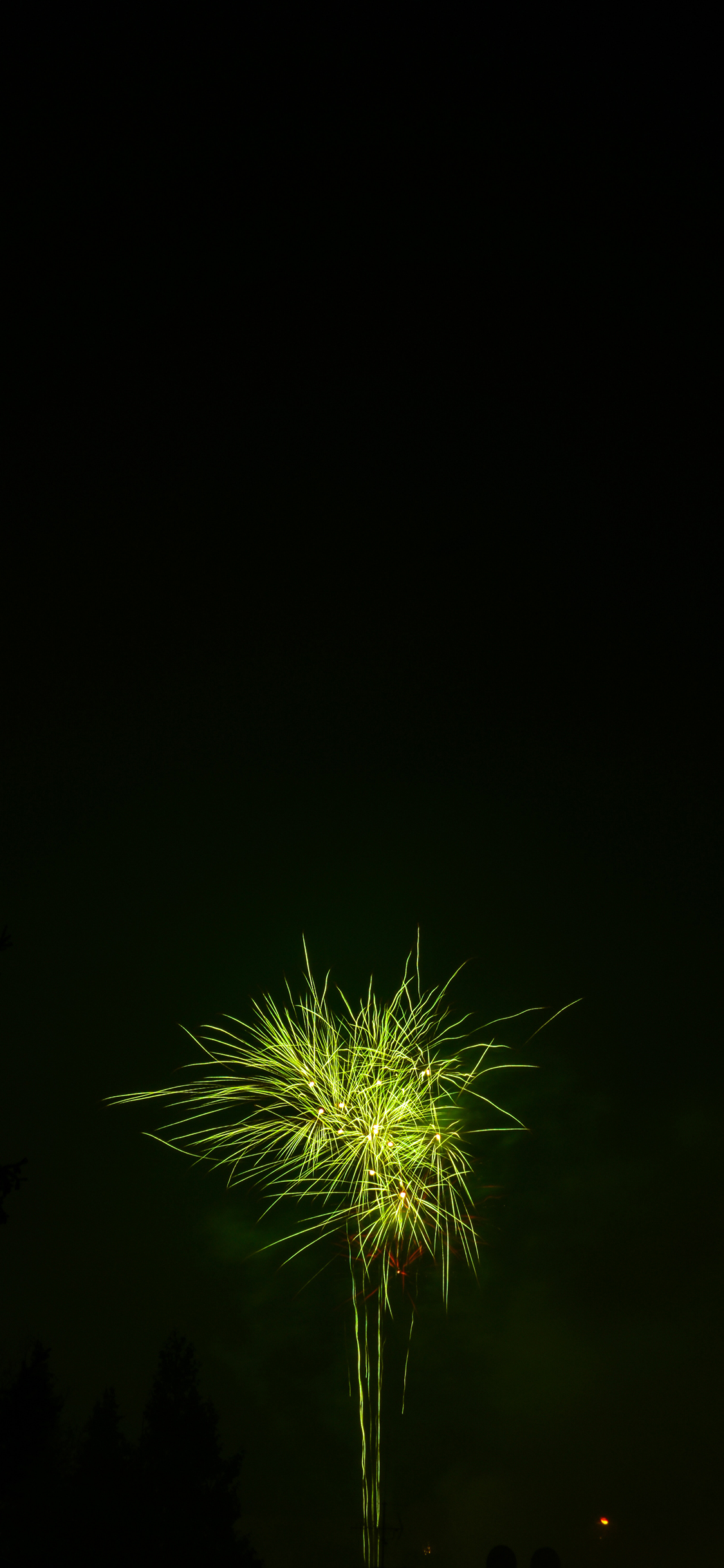 [2436×1125]烟花 盛开 绽放 夜晚 天空 苹果手机壁纸图片
