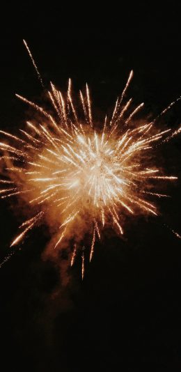 [2436x1125]烟花 绽放 夜晚 璀璨 苹果手机壁纸图片