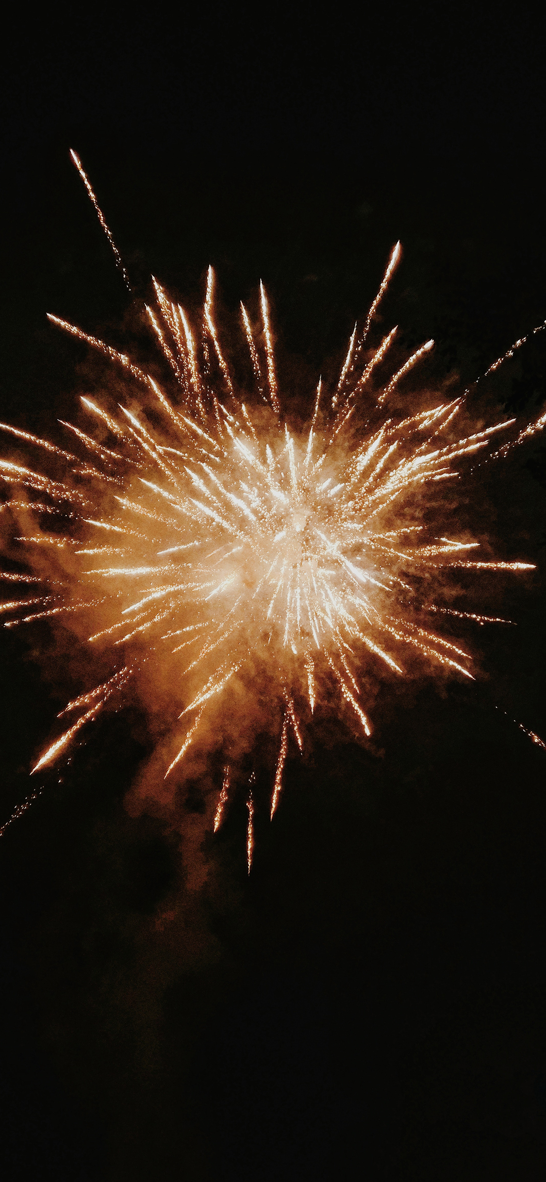 [2436×1125]烟花 绽放 夜晚 璀璨 苹果手机壁纸图片