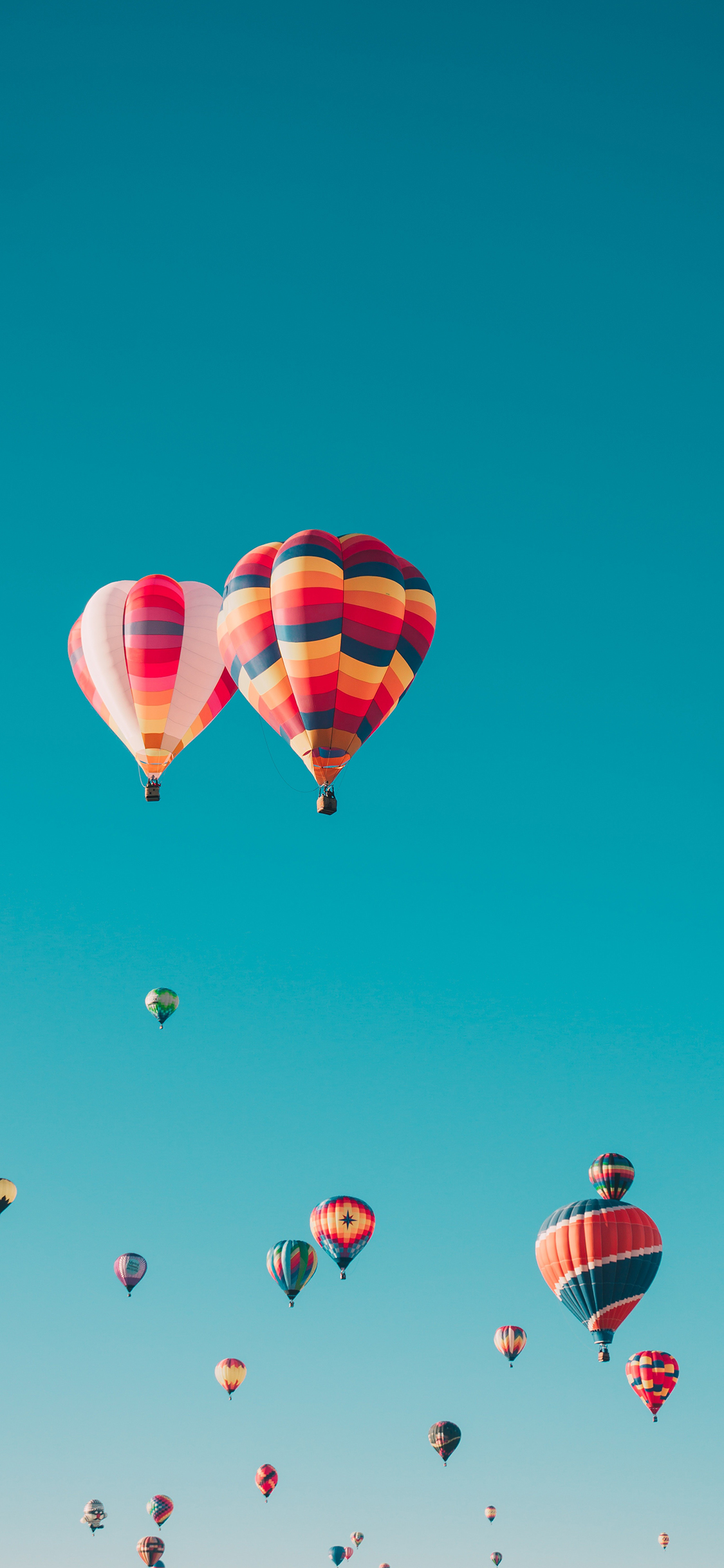 [2436×1125]热气球 色彩 蓝天 飞 天空 苹果手机壁纸图片