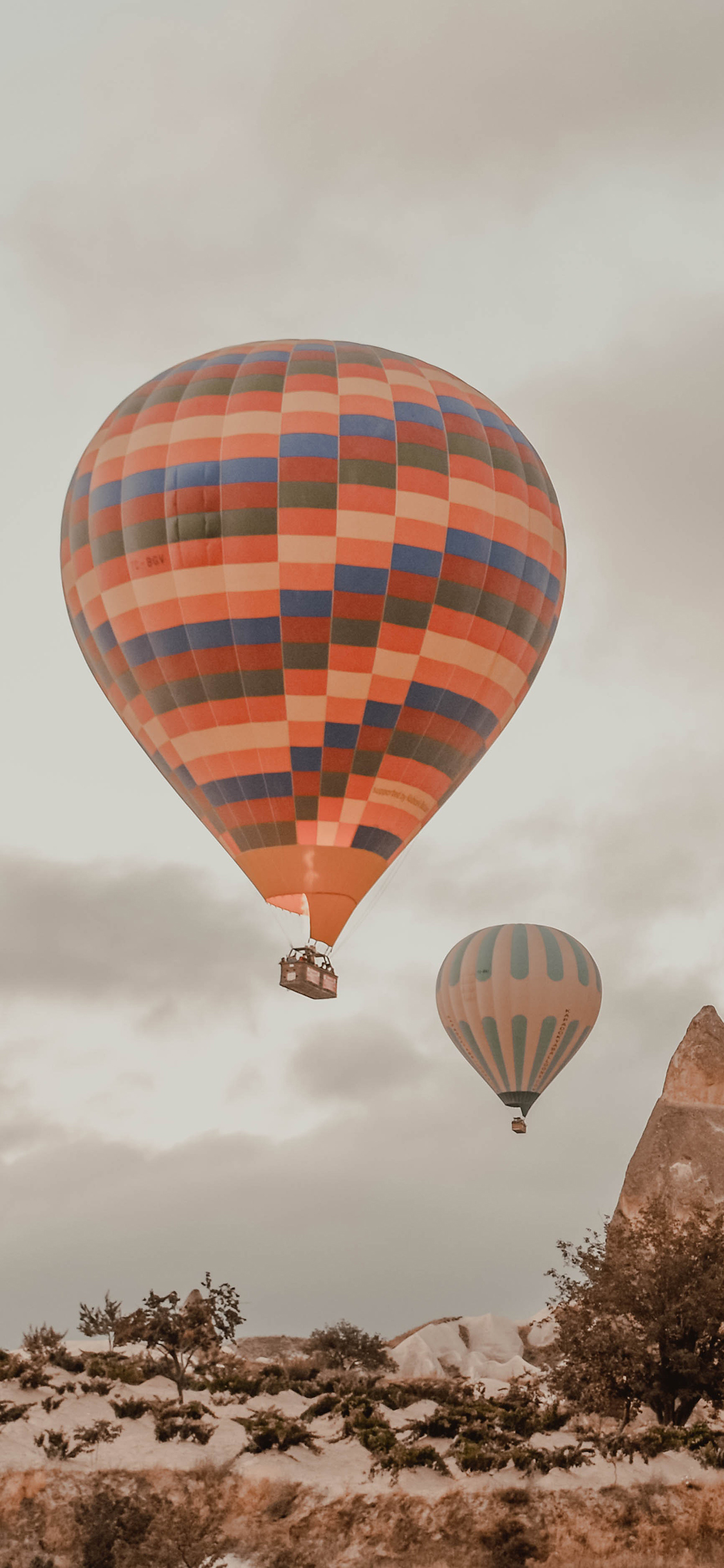 [2436×1125]热气球 飞行 旅行 地质 荒漠 苹果手机壁纸图片