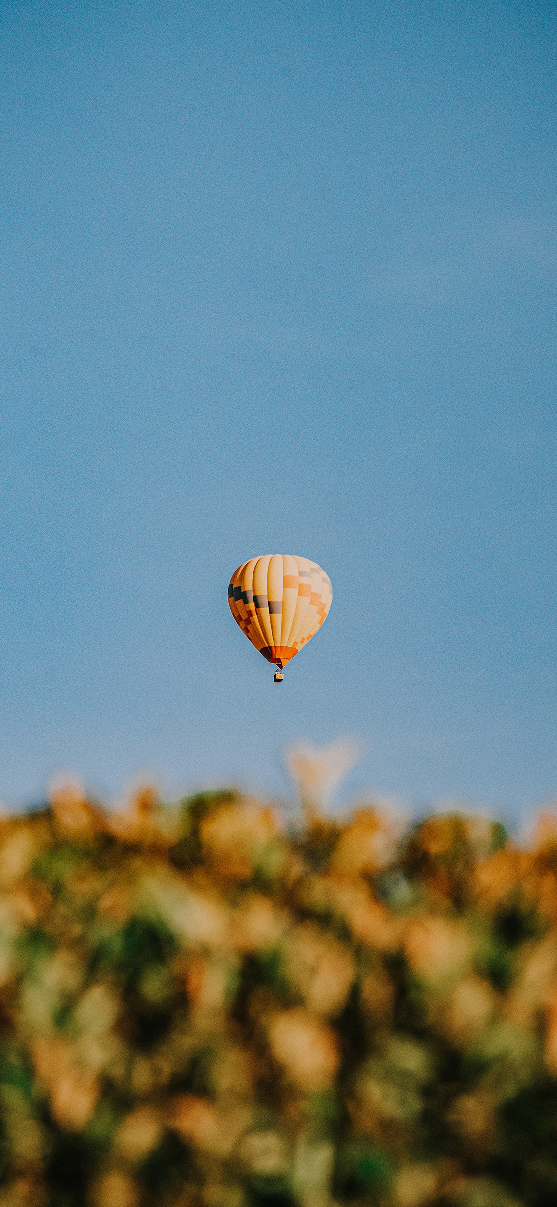 [2436×1125]热气球 飞行 蓝色 天空 苹果手机壁纸图片
