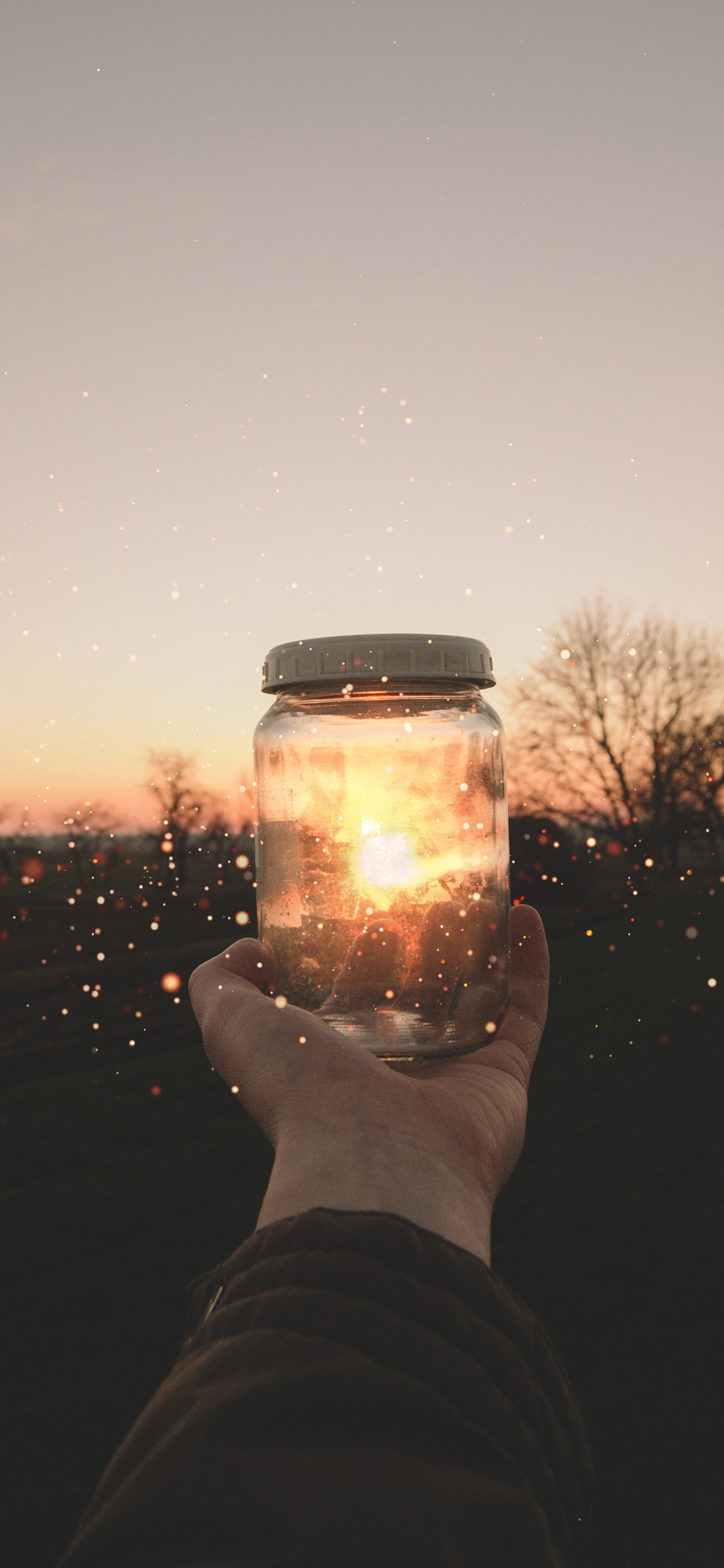 [2436×1125]玻璃瓶 夕阳 璀璨  唯美 苹果手机壁纸图片