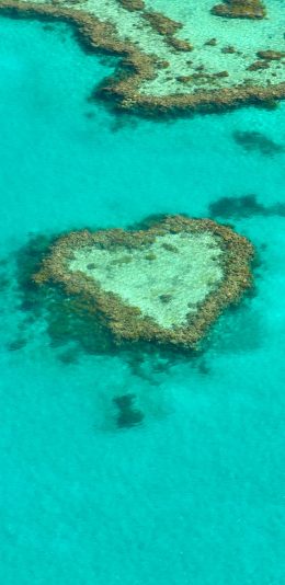 [2436x1125]珊瑚礁 爱心 大海 海洋 蓝色 苹果手机壁纸图片