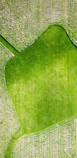 [2436x1125]田野 俯拍 形状 庄稼 苹果手机壁纸图片