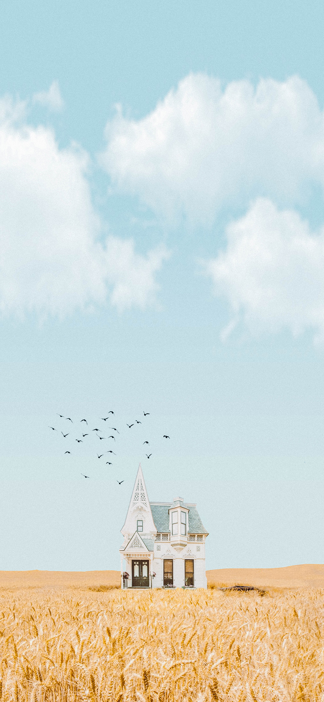 [2436×1125]田野 飞鸟 鸟群 房屋 建筑 苹果手机壁纸图片