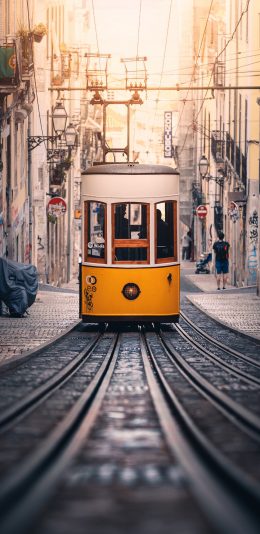 [2436x1125]电缆车 城市 行驶 轨道 苹果手机壁纸图片