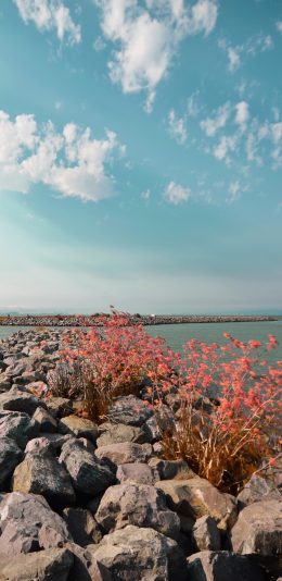 [2436x1125]石头铺路 天空 大海 唯美 苹果手机壁纸图片