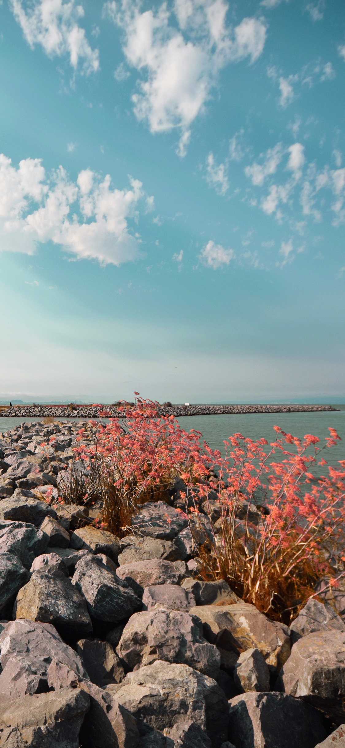 [2436×1125]石头铺路 天空 大海 唯美 苹果手机壁纸图片