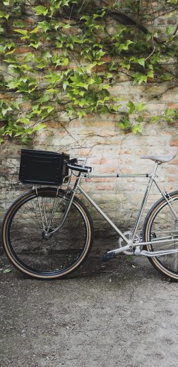 [2436x1125]砖墙 爬山虎 单车 自行车 苹果手机壁纸图片