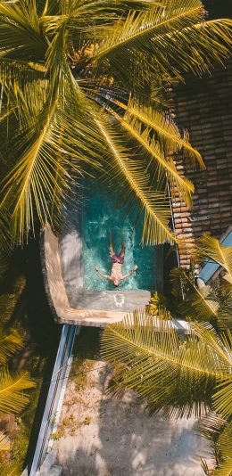 [2436x1125]私人 泳池 男人 椰树 苹果手机壁纸图片