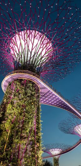 [2436x1125]空中栈道 景观 设计 建筑唯美 苹果手机壁纸图片