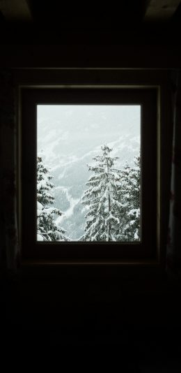 [2436x1125]窗口 风景 树木 雪花 覆盖 苹果手机壁纸图片