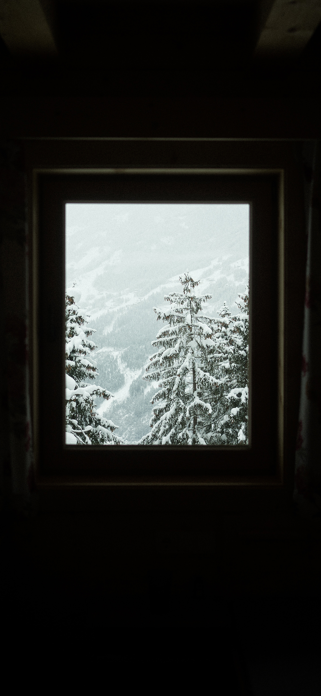 [2436×1125]窗口 风景 树木 雪花 覆盖 苹果手机壁纸图片