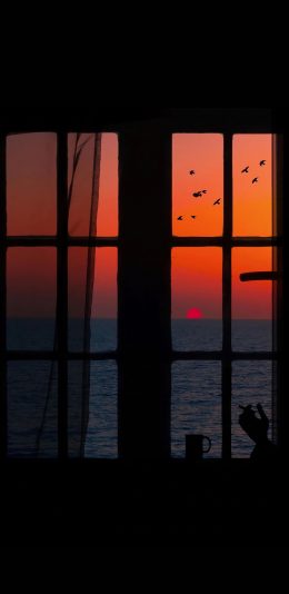 [2436x1125]窗外 大海 落日 飞鸟 晚霞 海景 苹果手机壁纸图片