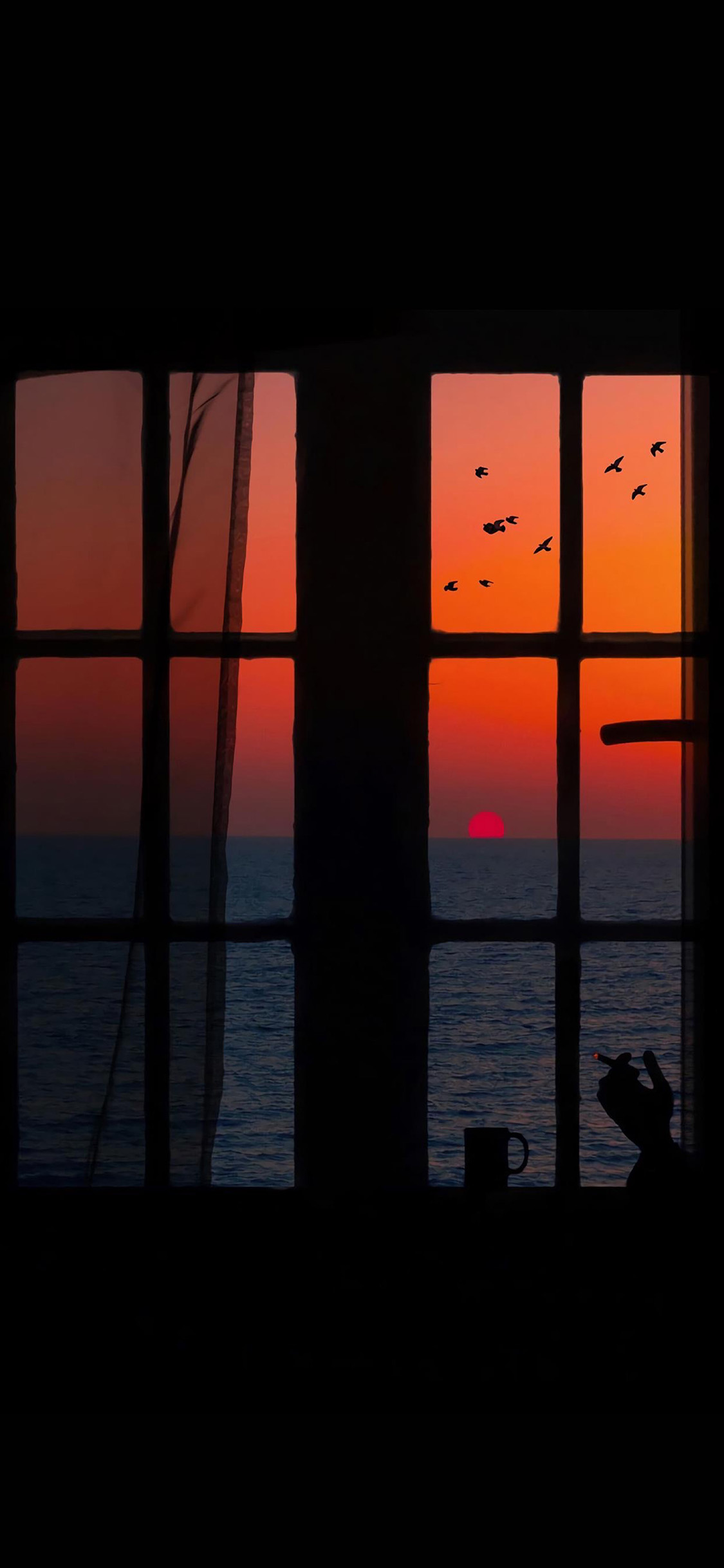 [2436×1125]窗外 大海 落日 飞鸟 晚霞 海景 苹果手机壁纸图片