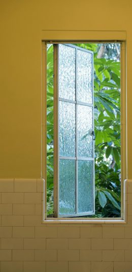 [2436x1125]窗外 窗户 植被 树木 绿意 苹果手机壁纸图片