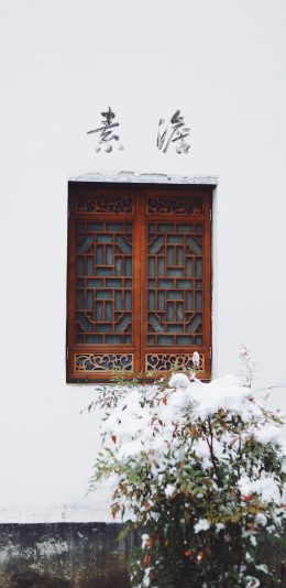 [2436x1125]窗户 复古 素澹 绿植 苹果手机壁纸图片