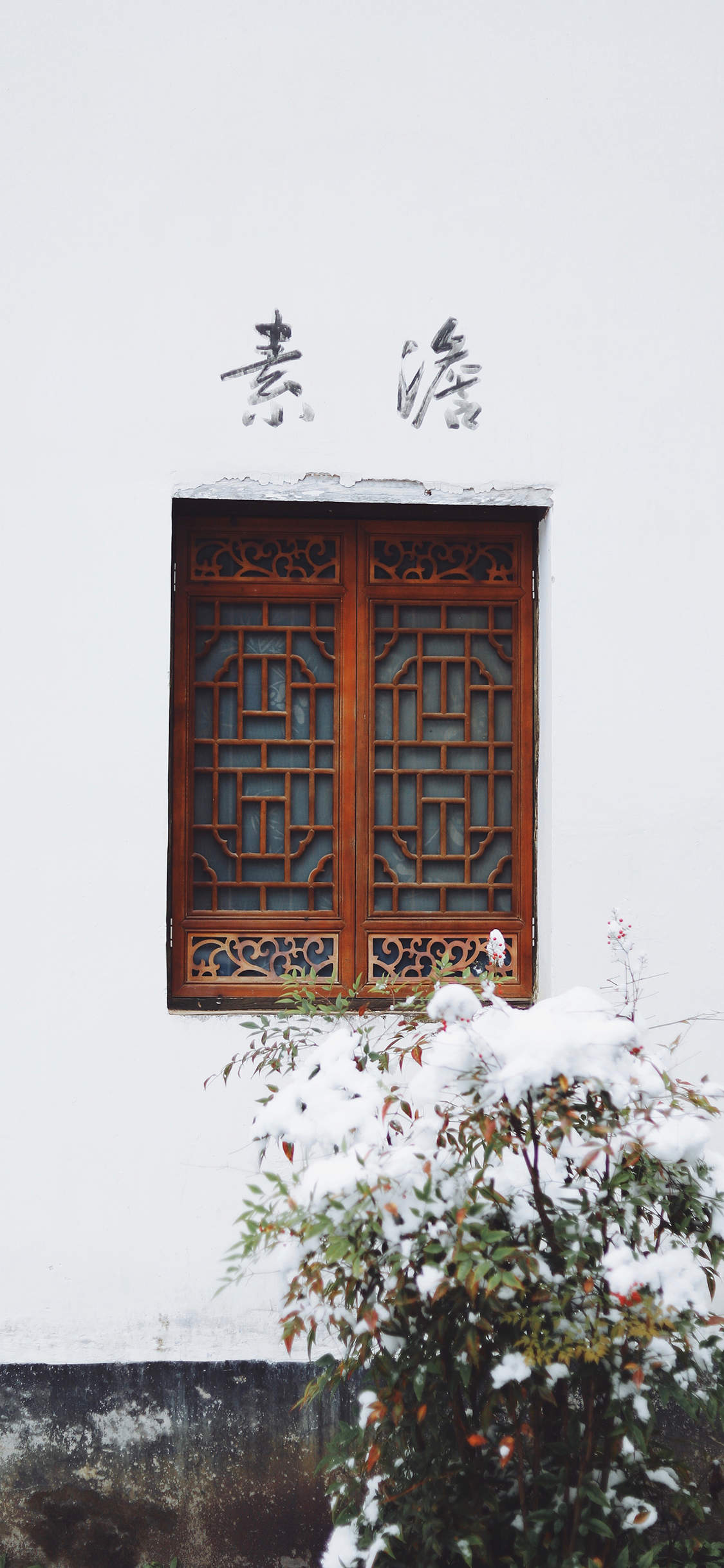 [2436×1125]窗户 复古 素澹 绿植 苹果手机壁纸图片