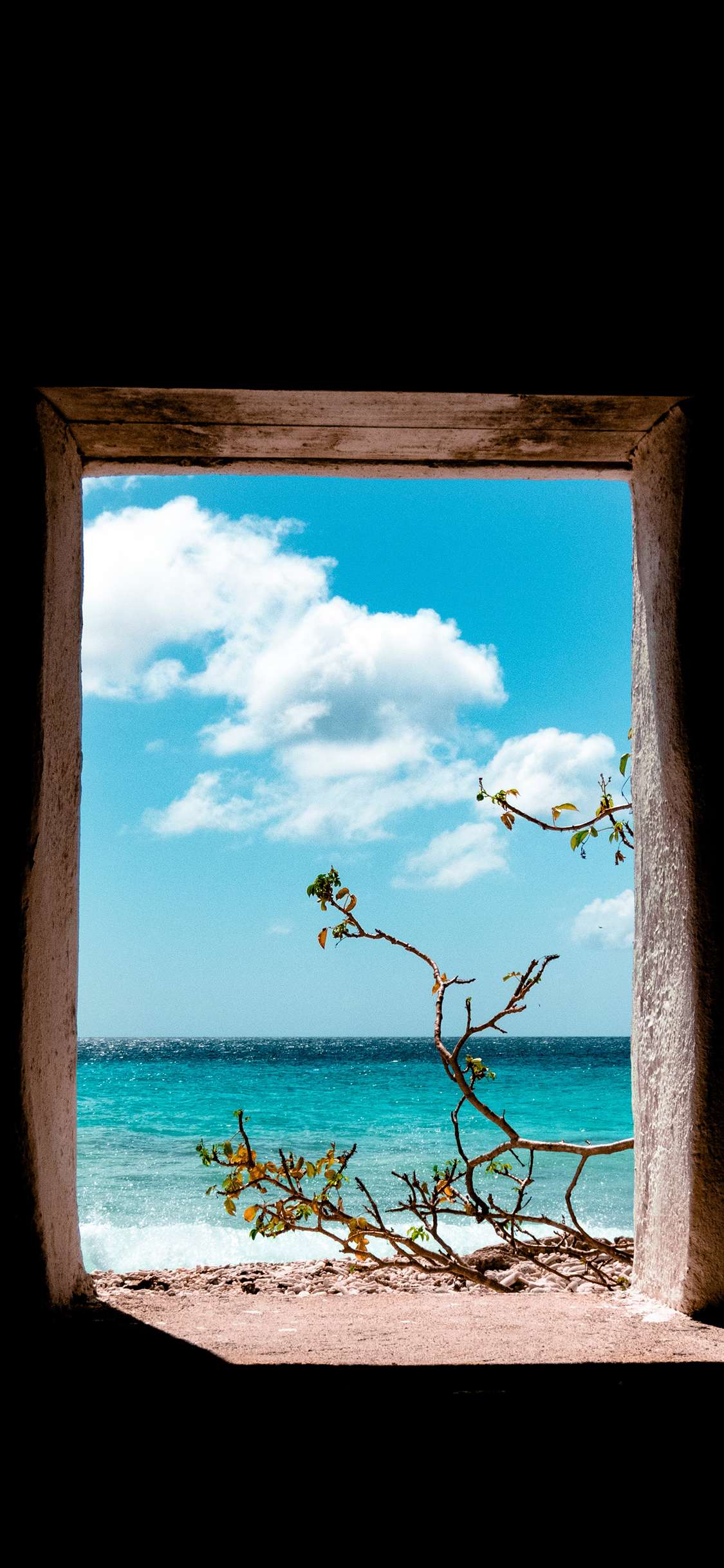 [2436×1125]窗户 海景 蓝天白云 树木 苹果手机壁纸图片