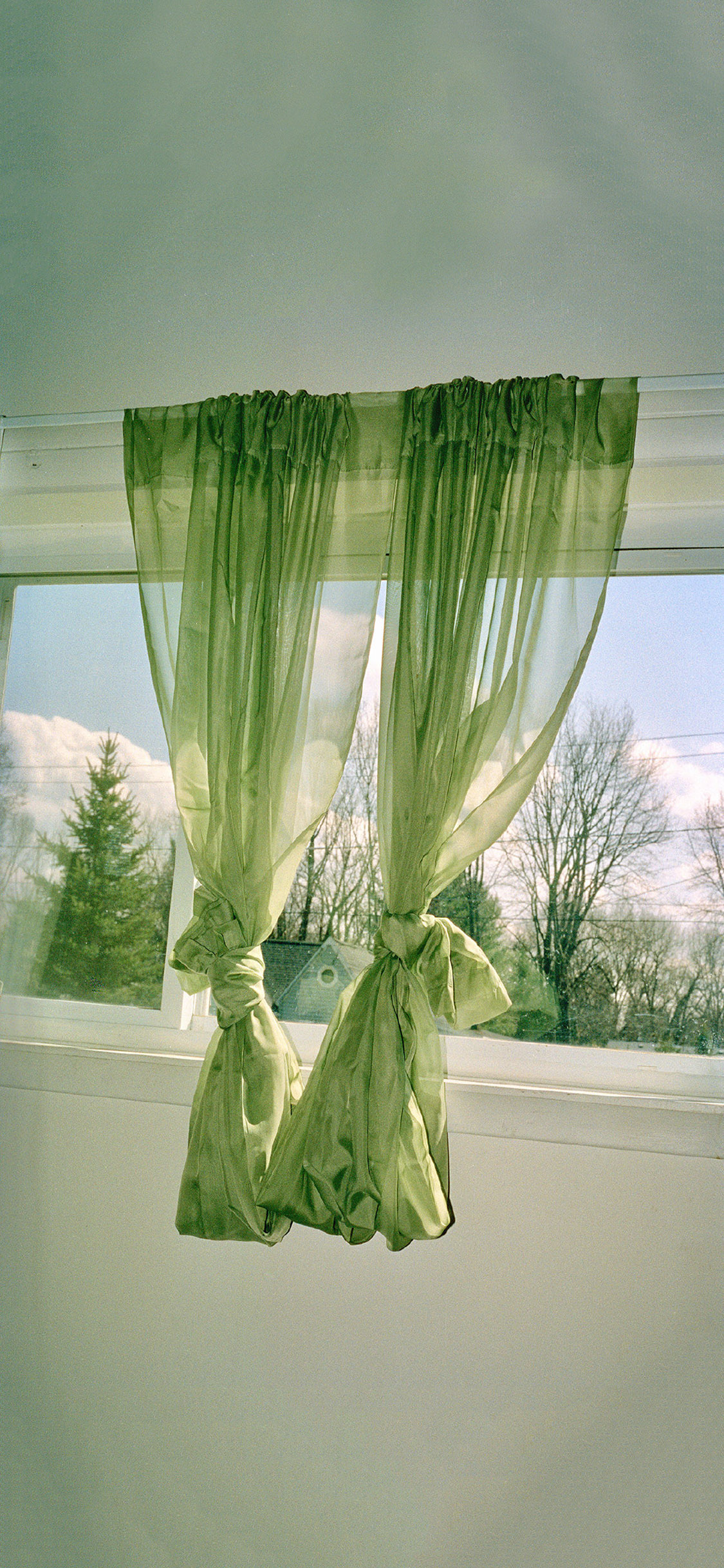 [2436×1125]窗户 窗外美景 窗帘 绿色 苹果手机壁纸图片
