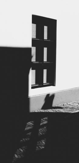 [2436x1125]窗户 黑白 意境 唯美 苹果手机壁纸图片