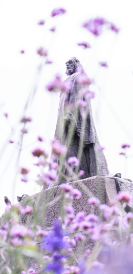 [2436x1125]紫色 鲜花 雕像 景点 苹果手机壁纸图片