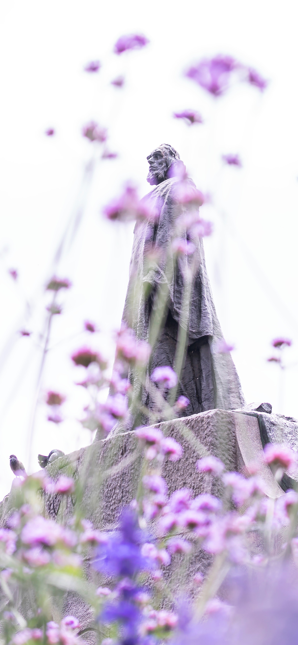 [2436×1125]紫色 鲜花 雕像 景点 苹果手机壁纸图片