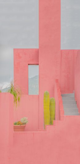 [2436x1125]红墙 西班牙 建筑 粉色 仙人掌 多肉 盆栽 苹果手机壁纸图片