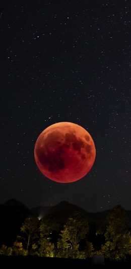 [2436x1125]红月亮 夜空 月球 满月 血月 苹果手机壁纸图片