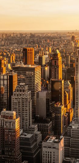 [2436x1125]纽约 城市 建筑 高楼大厦 阳光 都市 繁华 苹果手机壁纸图片