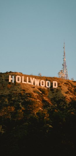 [2436x1125]美国 好莱坞 HOLLYWOOD 苹果手机壁纸图片
