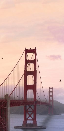 [2436x1125]美国 金门大桥 建筑 苹果手机壁纸图片