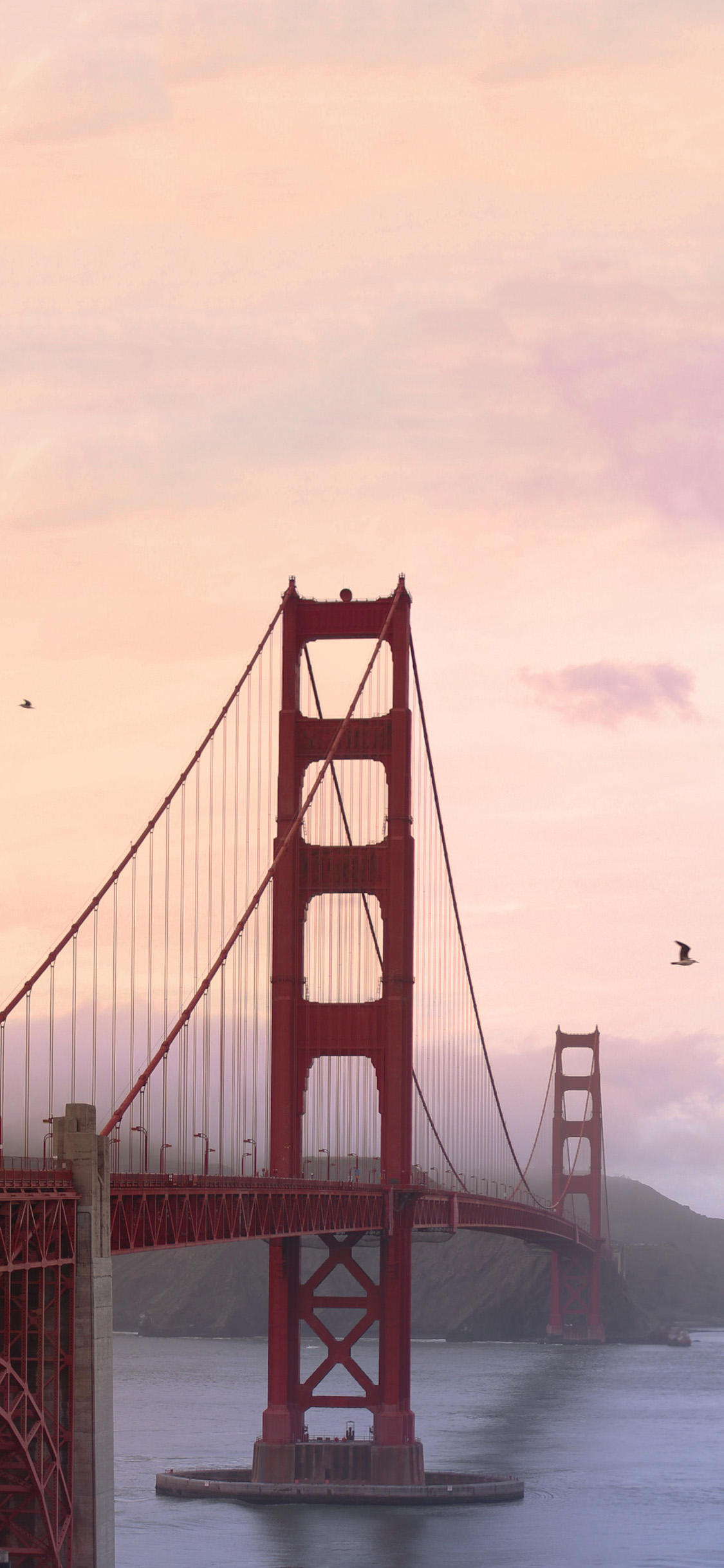 [2436×1125]美国 金门大桥 建筑 苹果手机壁纸图片