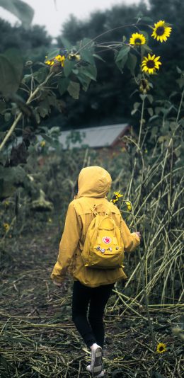 [2436x1125]背影 野外 黄衣 背包 苹果手机壁纸图片