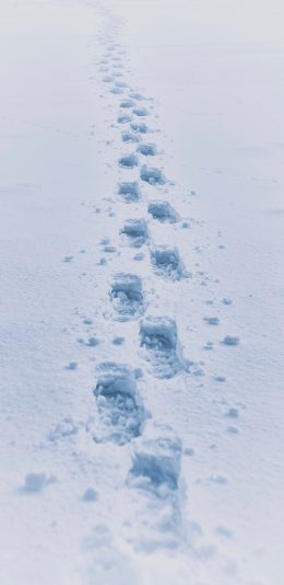 [2436x1125]脚印 雪地 白色 行走 苹果手机壁纸图片