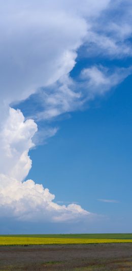 [2436x1125]自然 天空 云海 广阔 苹果手机壁纸图片
