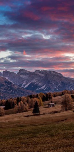 [2436x1125]自然 山坡 夕阳 彩霞 苹果手机壁纸图片