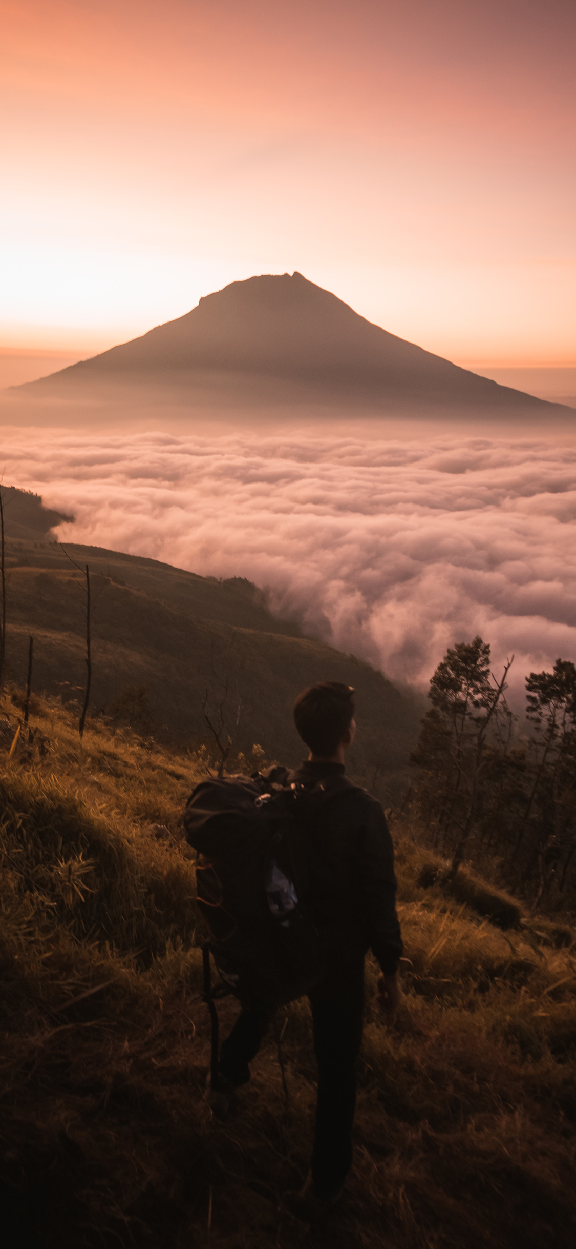 [2436×1125]自然 山峰 云海 壮观 苹果手机壁纸图片