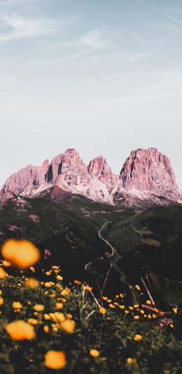 [2436x1125]自然 山峰 山脉 鲜花 美景 苹果手机壁纸图片